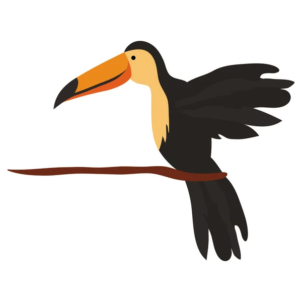 Ícone de pássaro exótico tucano — Vetor de Stock