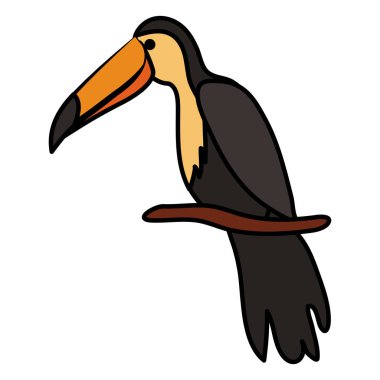 Toucan egzotik kuş simgesi
