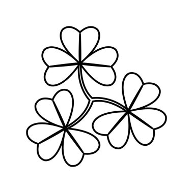 yonca yapraklar saint patricks günü