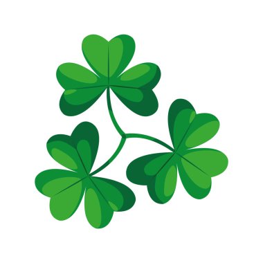 yonca yapraklar saint patricks günü