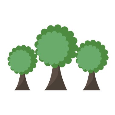 ağaç bitki doğa sahne