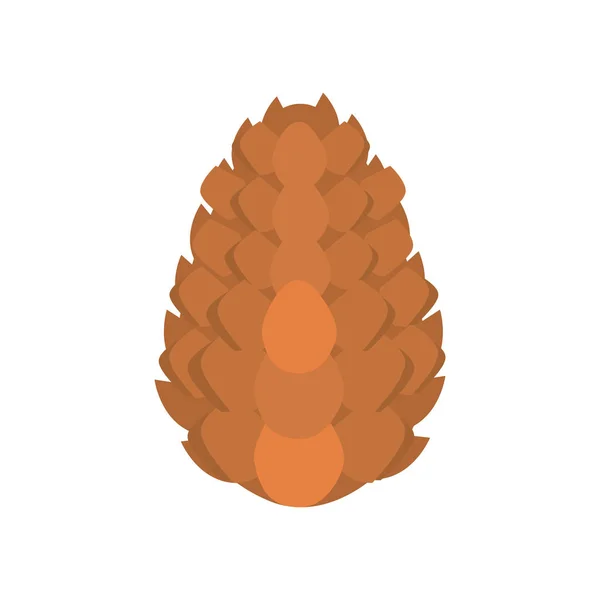 Pinecone decoração no fundo branco — Vetor de Stock