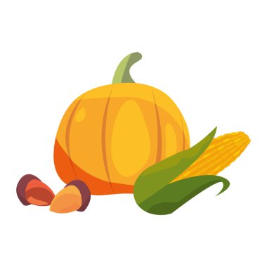 Kabak Mısır ve meşe palamudu gıda