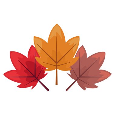 rengi dekorasyon arka plan ağaç yaprak