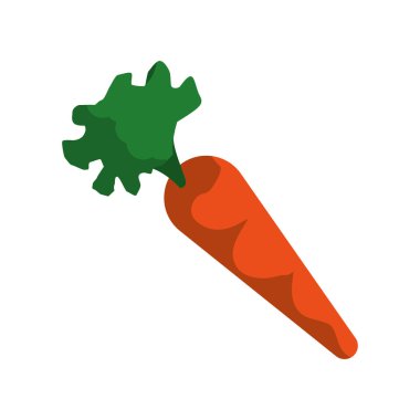 taze havuç sebze simgesi