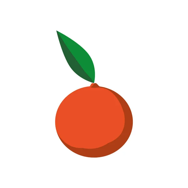 Φρέσκο πορτοκάλι χορτοφαγικά τρόφιμα — Διανυσματικό Αρχείο