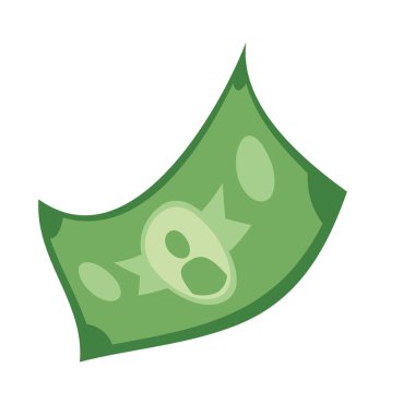 Bill Doları izole simgesi