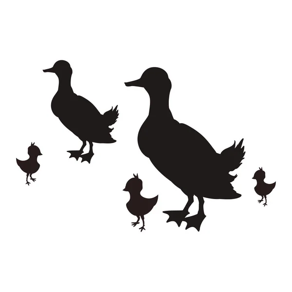 Eenden familie dierlijk landbouwbedrijf pictogram — Stockvector