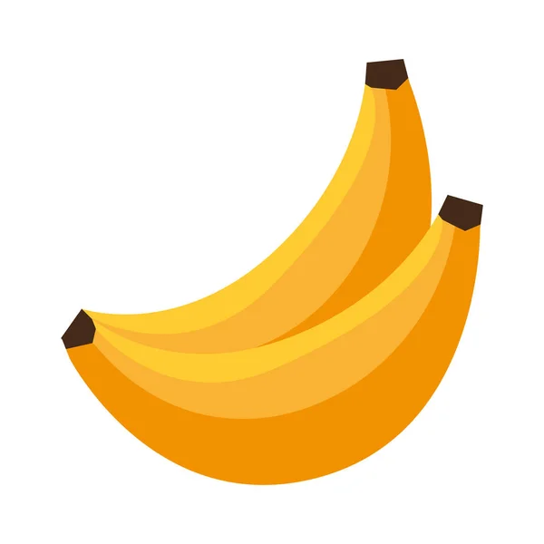 Fresh banana isolated icon — Stock Vector