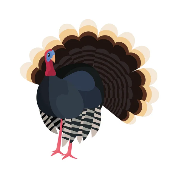 Happy thanksgiving vieren — Stockvector