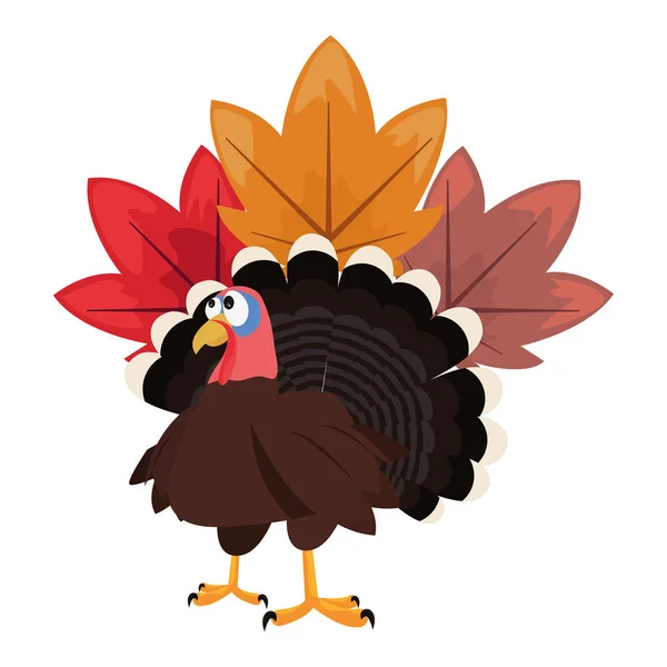 Cute turkey and maple leaves — Stock Vector
