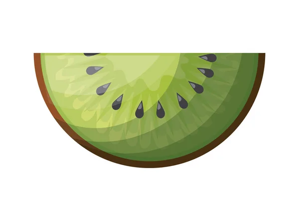 Tranche fraîche kiwi fruits sains — Image vectorielle