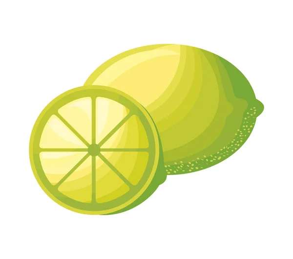 Свежие фрукты лимонов — стоковый вектор