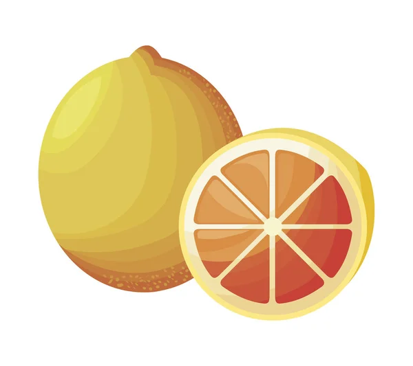 Свежие апельсины — стоковый вектор
