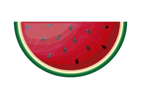 Fruta fresca y saludable de sandía rebanada — Vector de stock