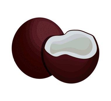 meyve hindistancevizi sağlıklı simge