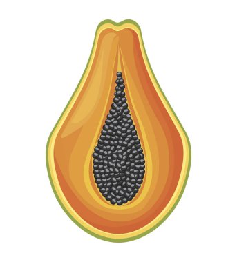 taze yarım papaya meyve sağlıklı