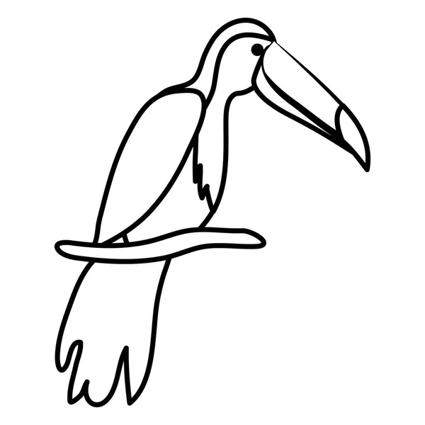 Toucan icono de ave exótica — Archivo Imágenes Vectoriales