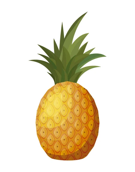 Fresh pineapple fruit isolated icon — Stock Vector