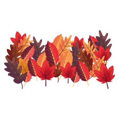 renkler yaprakları dekorasyon beyaz arka plan