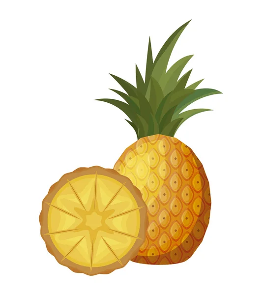 Verse ananas fruit met segment — Stockvector