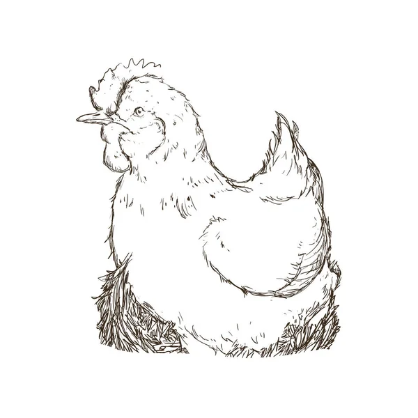 Tavuk hayvan çiftliği simgesi — Stok Vektör