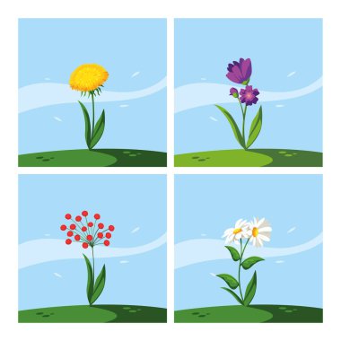 dizi güzel bahar çiçekleri