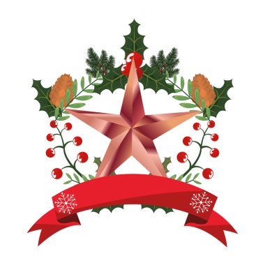 Noel yıldızı holly berry şerit