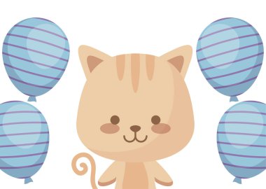 Balonlar helyum ile şirin kedi