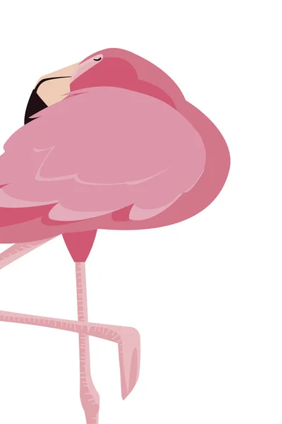 Elegante Flamingo-Ikone — Stockvektor
