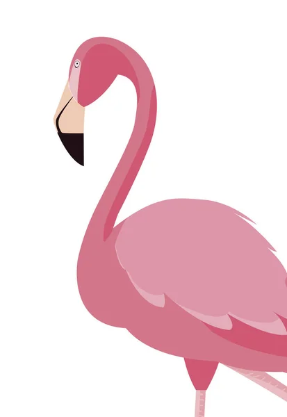 Ícone de pássaro flamingo elegante —  Vetores de Stock