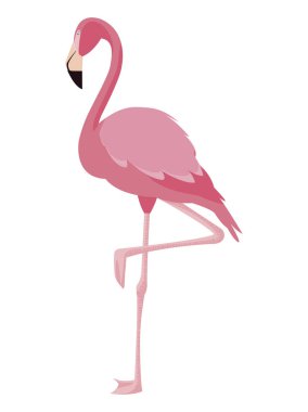 zarif flamingo kuş simgesi