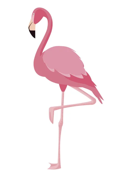 Ikona elegancki flamingo ptak — Wektor stockowy
