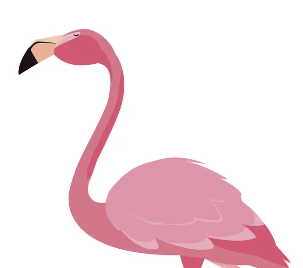 Ícone de pássaro flamingo elegante —  Vetores de Stock