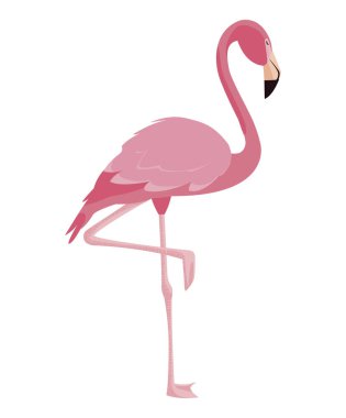 zarif flamingo kuş simgesi