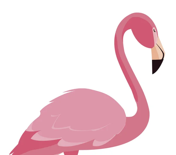 Elegante icona dell'uccello fenicottero — Vettoriale Stock