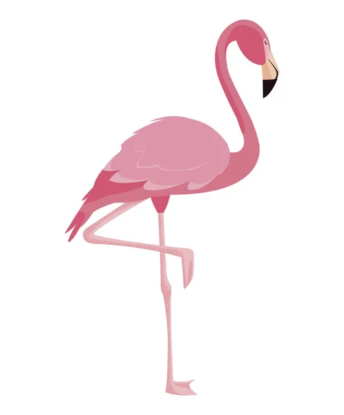 Eleganta flamingo fågel-ikonen — Stock vektor
