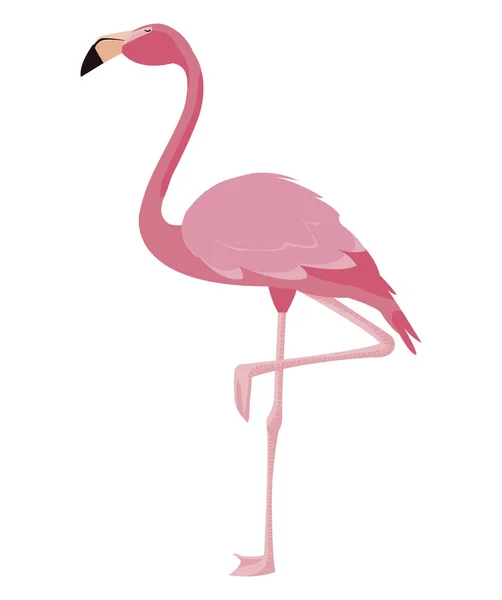 Ícone de pássaro flamingo elegante —  Vetores de Stock