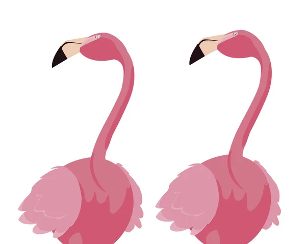Pár elegáns flamingo madarak — Stock Vector