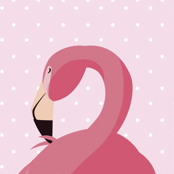 Elegant flamingo bird dotted background — Stock Vector