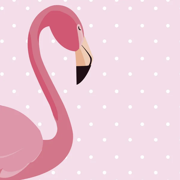 Elegante Flamingo Vogel gepunkteten Hintergrund — Stockvektor