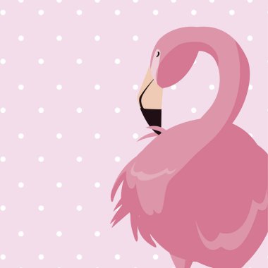 zarif flamingo kuşu noktalı arka plan