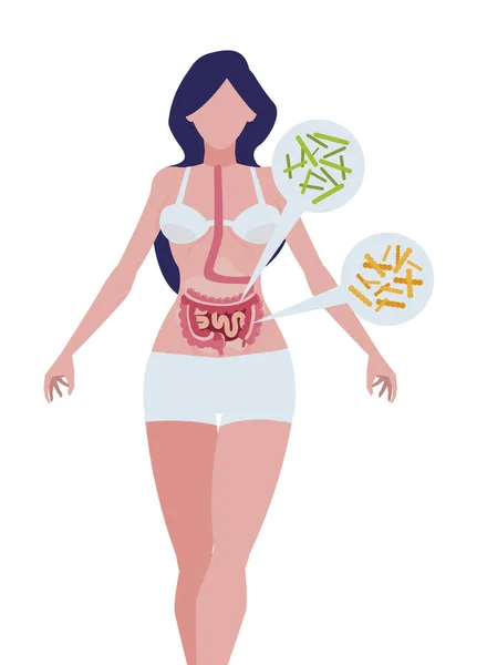 Женская анатомия с пищеварительной системой и бактериями — стоковый вектор