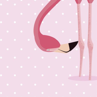 zarif flamingo kuşu noktalı arka plan