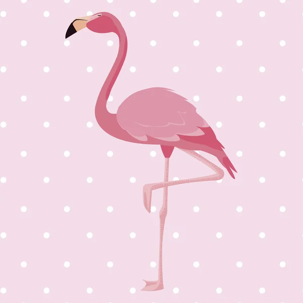 Elegante flamingo pássaro pontilhado fundo —  Vetores de Stock