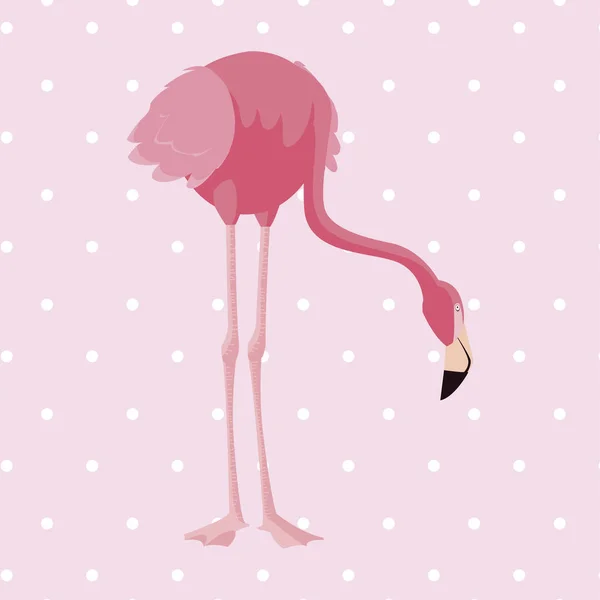 Элегантный фламинго птица пунктирный фон — стоковый вектор