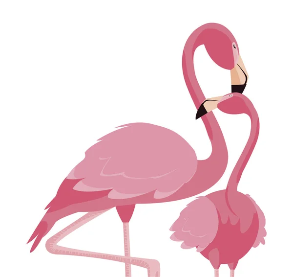 Para elegancki flamingo ptaków — Wektor stockowy