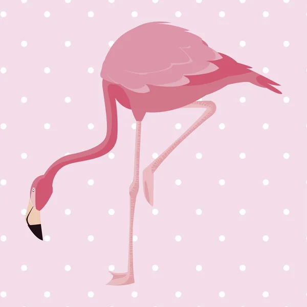 Eleganckie flamingo ptak przerywaną tło — Wektor stockowy