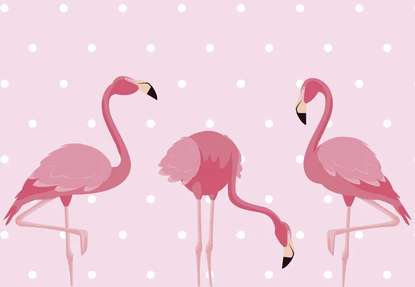 Elegante Flamingo Vögel Familie gepunkteten Hintergrund — Stockvektor