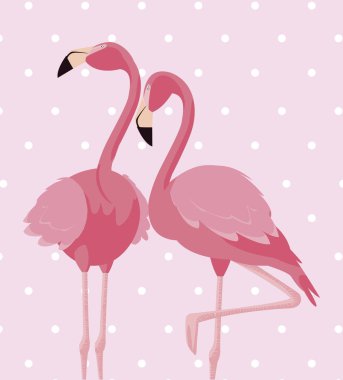 arka plan zarif flamingo kuşları çift noktalı